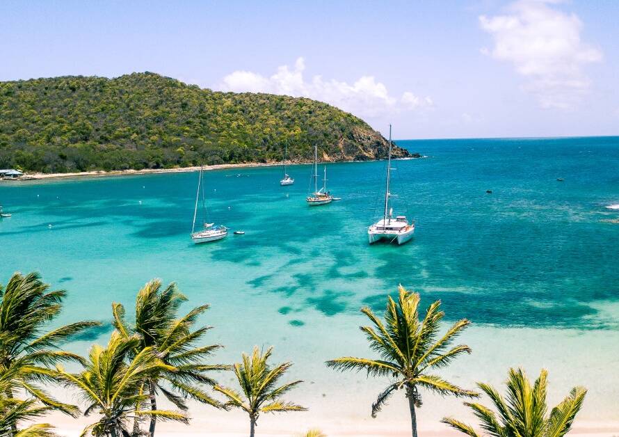 Five yachts moving through the bright blue ocean during the day. The boats are near a sandy beach and palm trees.